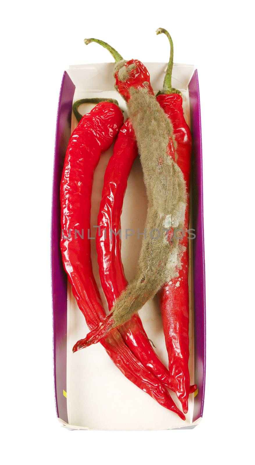 shrinking and mouldy chili peppers in paper box