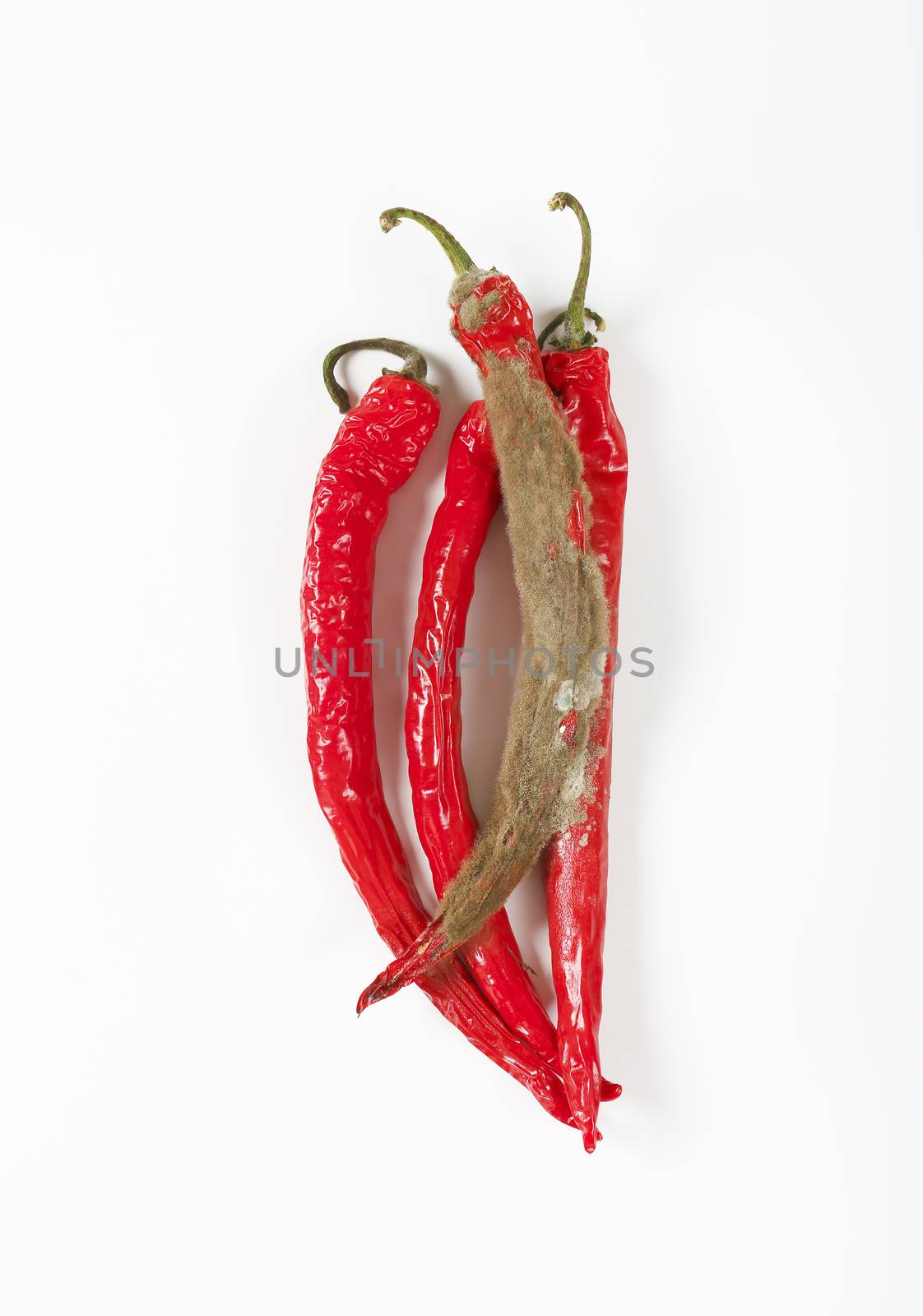 shrinking and mouldy chili peppers on white background