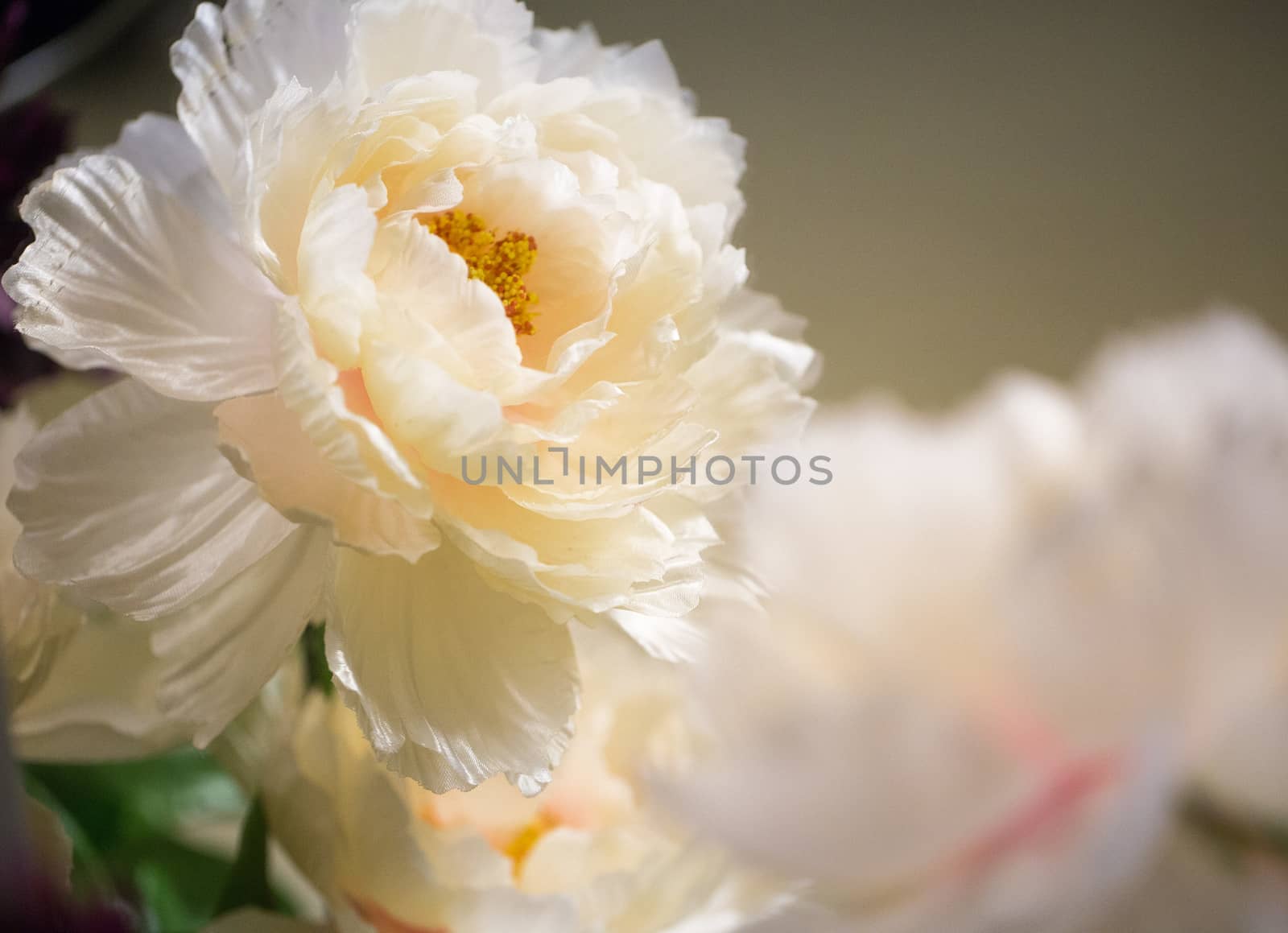 White beautiful artificial flower close up
