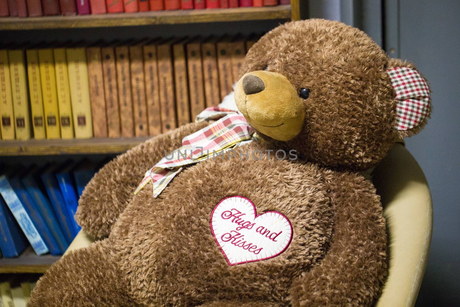 big Teddy bear in the chair on the background of books