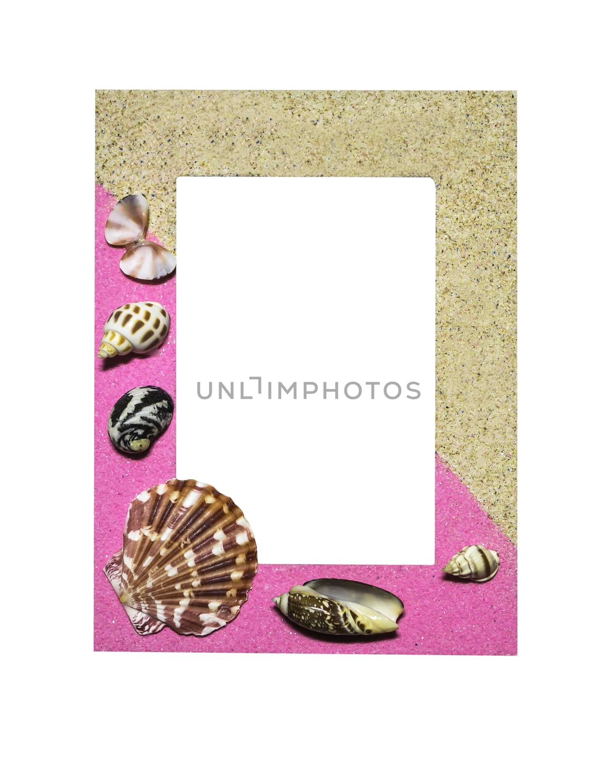 Shells on frame isolated by manusy