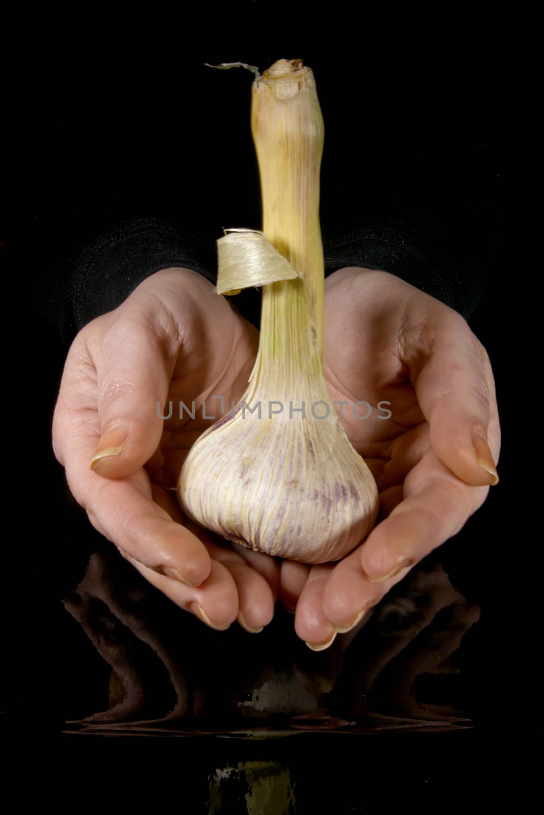 Garlic head in hands on a black background