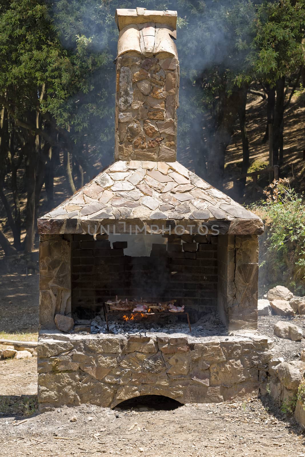 Meat roast in the barbecue in the countryside