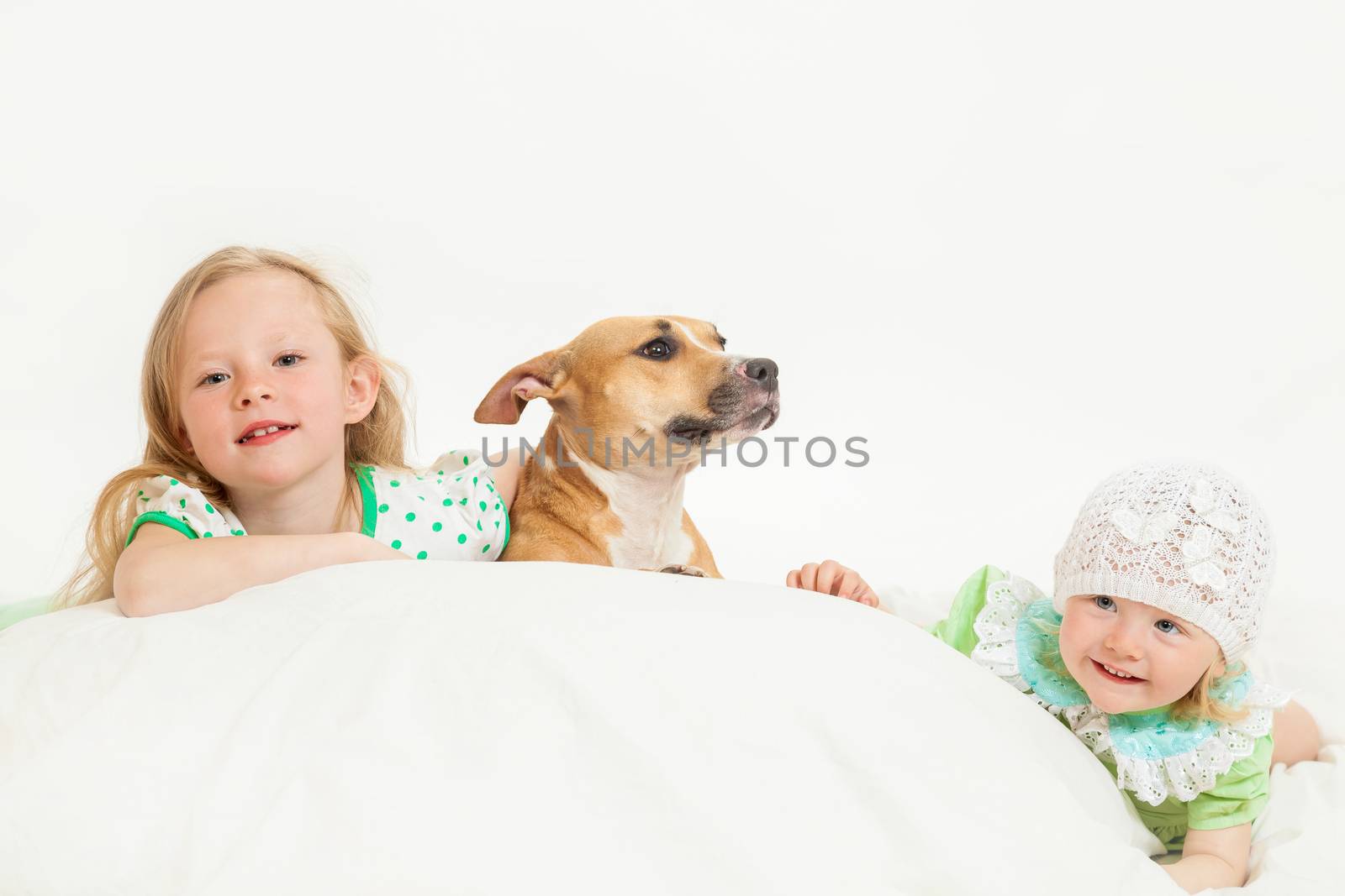 two little girls and dog on the isolated background