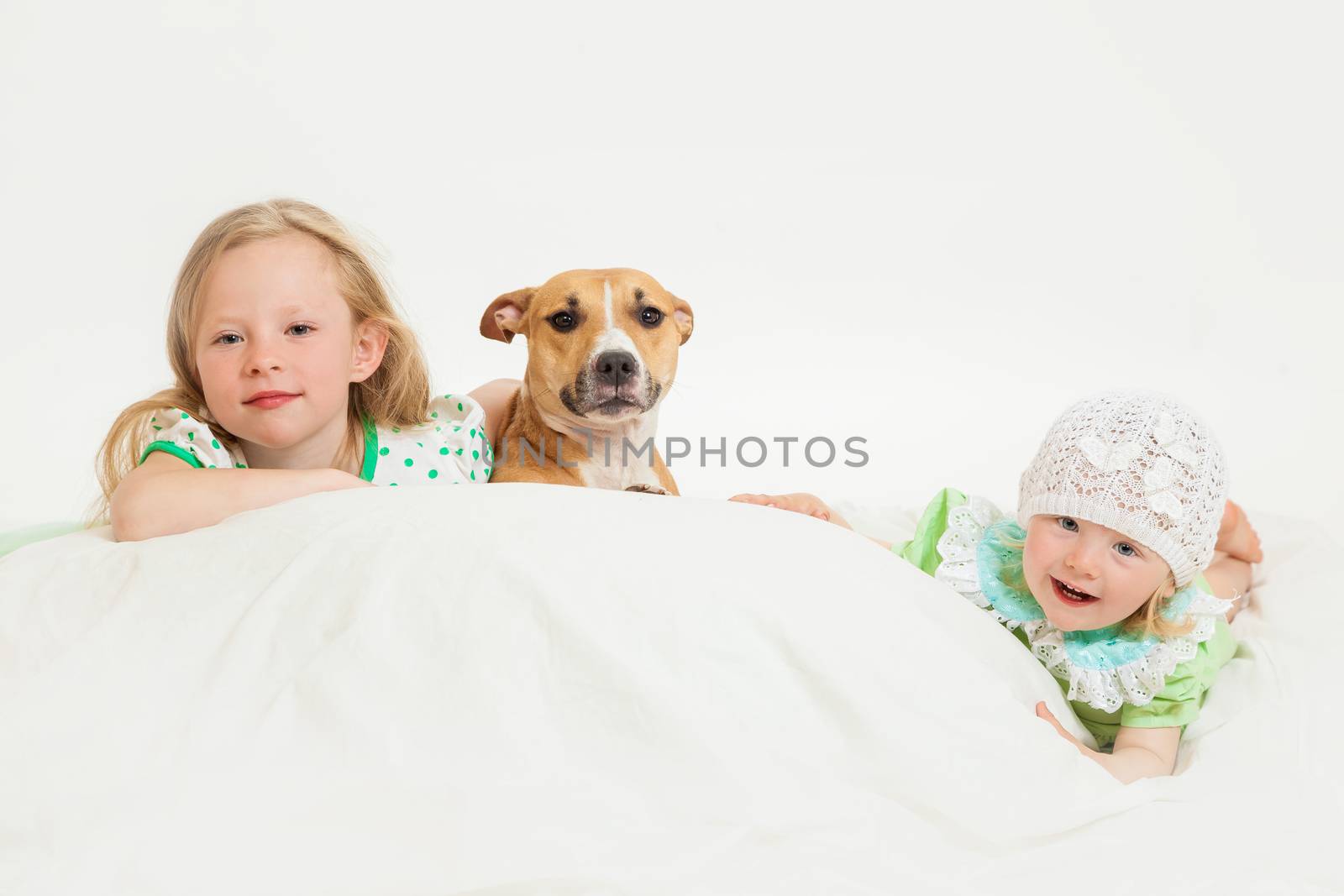 two little girls and dog on the isolated background