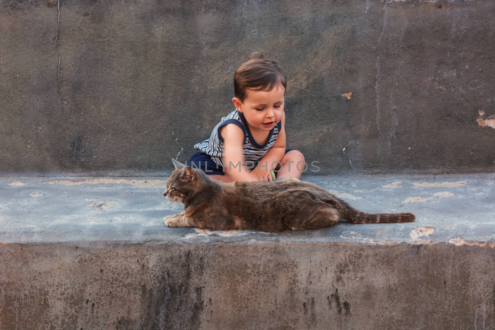 Dear little laughing boy and a cat on a wall.