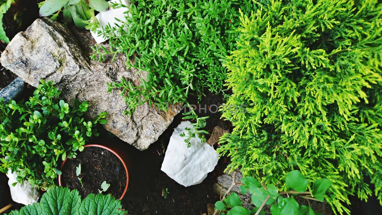 Top down view of a miniature decorative rock garden.