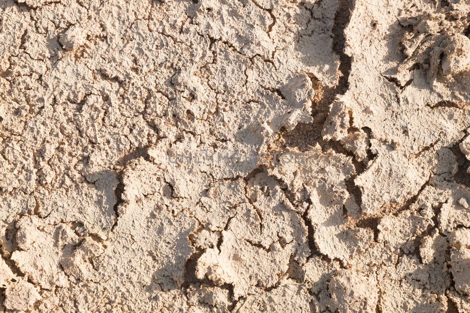 Dry cracked earth.