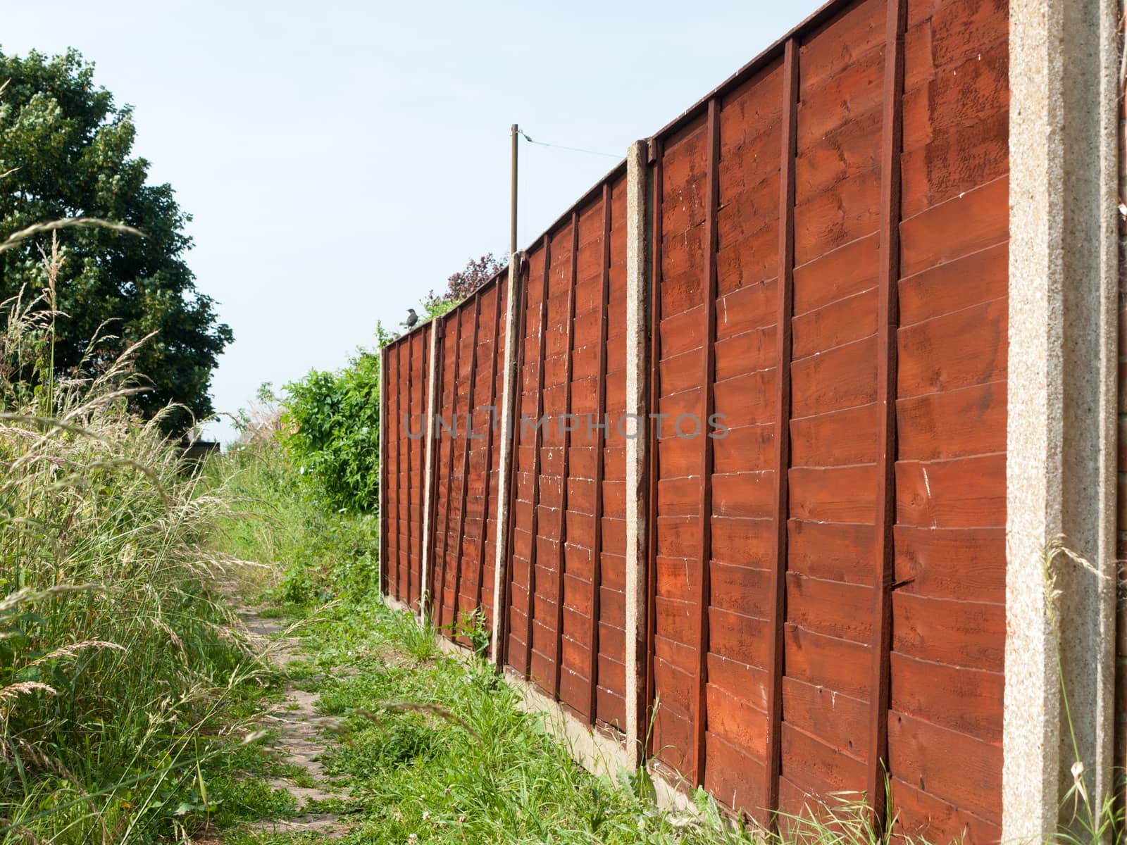brown wooden backyard fence outside