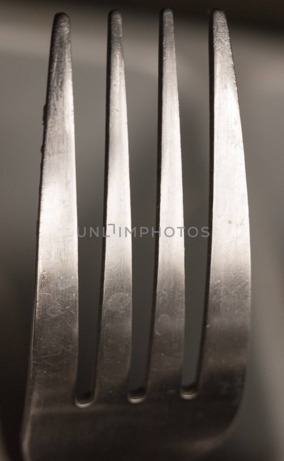 the top four prongs of a metal fork up close shining and reflecting in studio design graphic