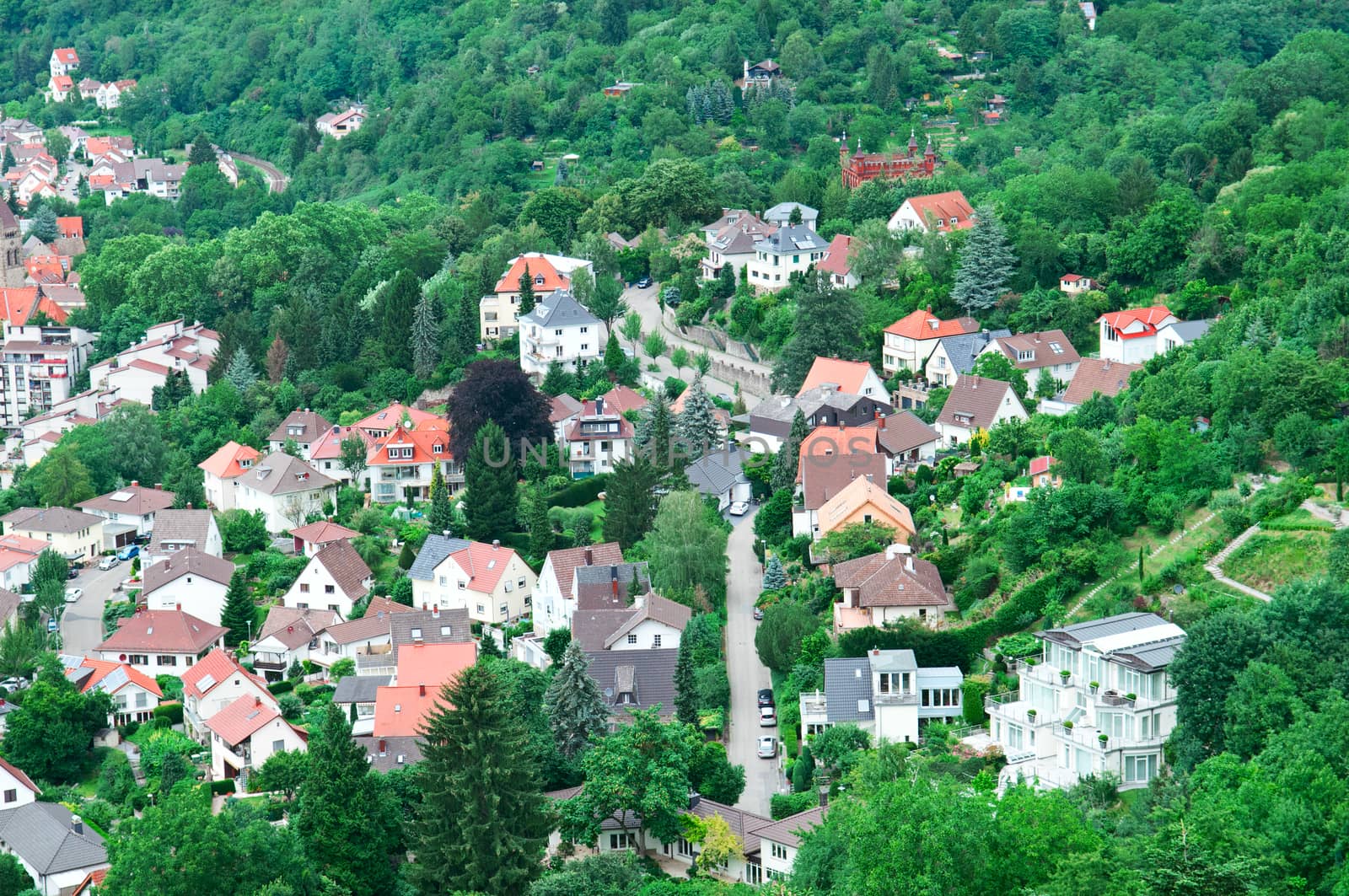 urban landscape and woods view from above