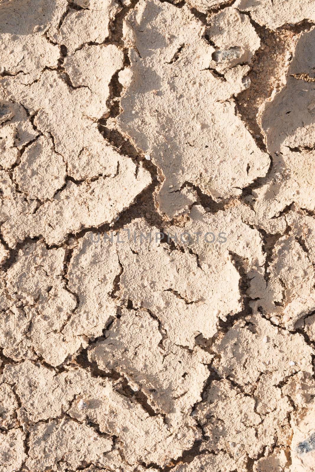 Dry cracked earth.