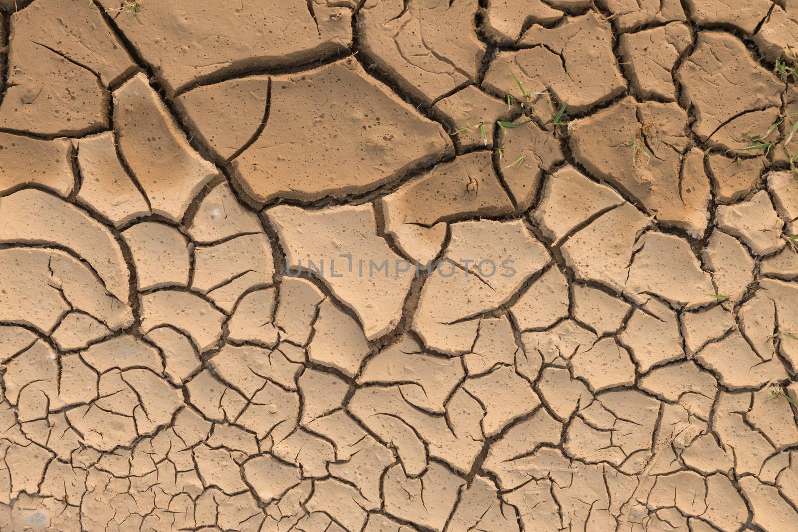 Dry cracked earth.