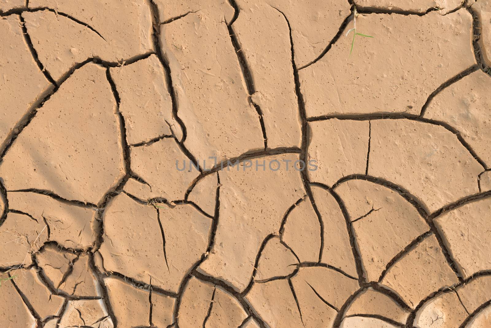 Dry cracked earth.