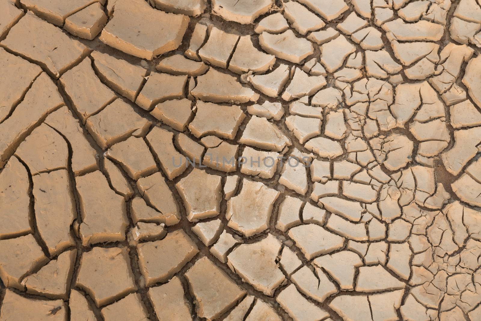 Dry cracked earth.