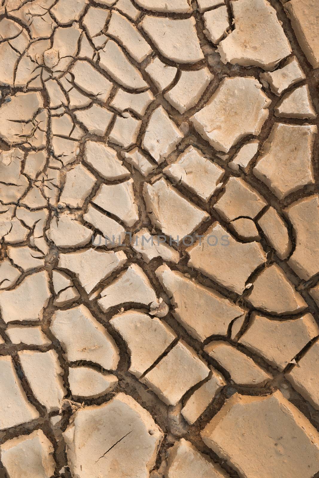 Dry cracked earth.