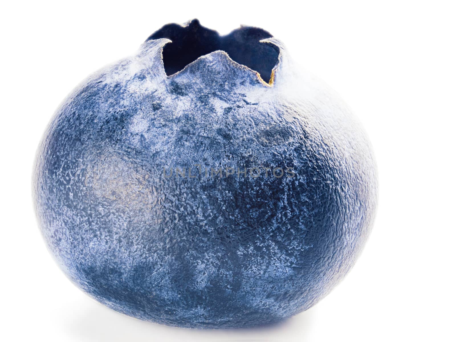 blueberry isolated with clipping path by fascinadora