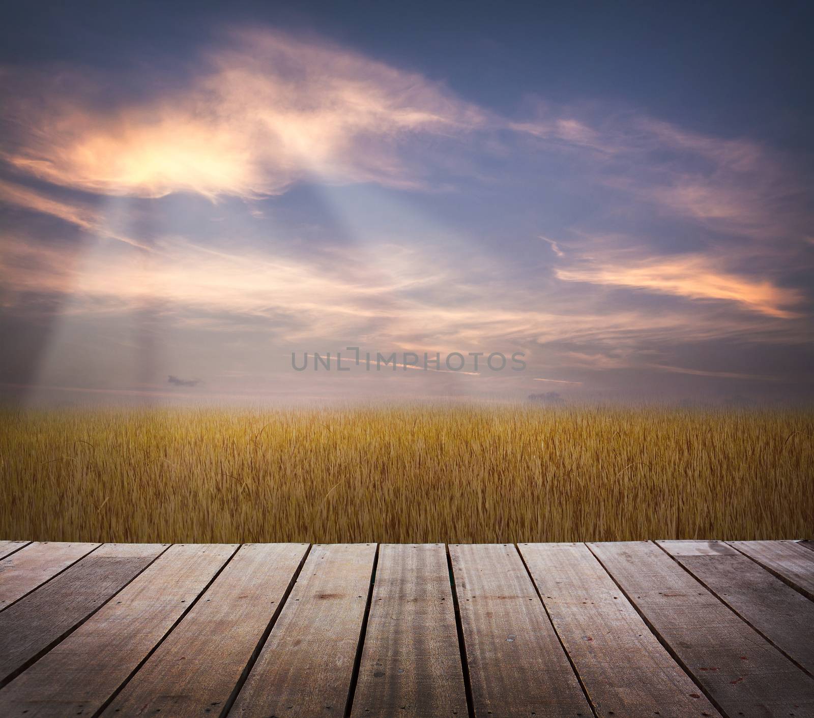 wood terrace with golden grass and sunset sky