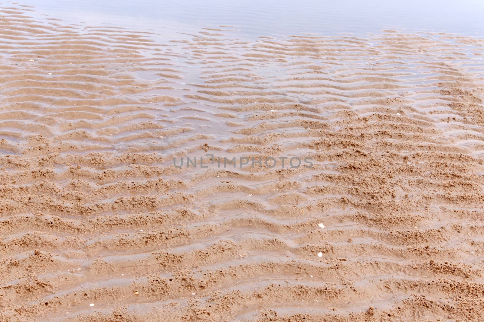 ripple sand in nature on the beach in summer