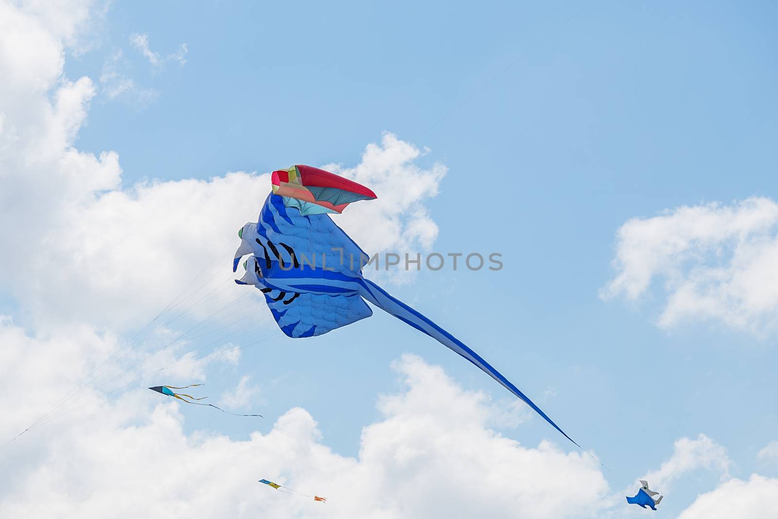 kites flying in a blue sky. Kites of various shapes. kiting