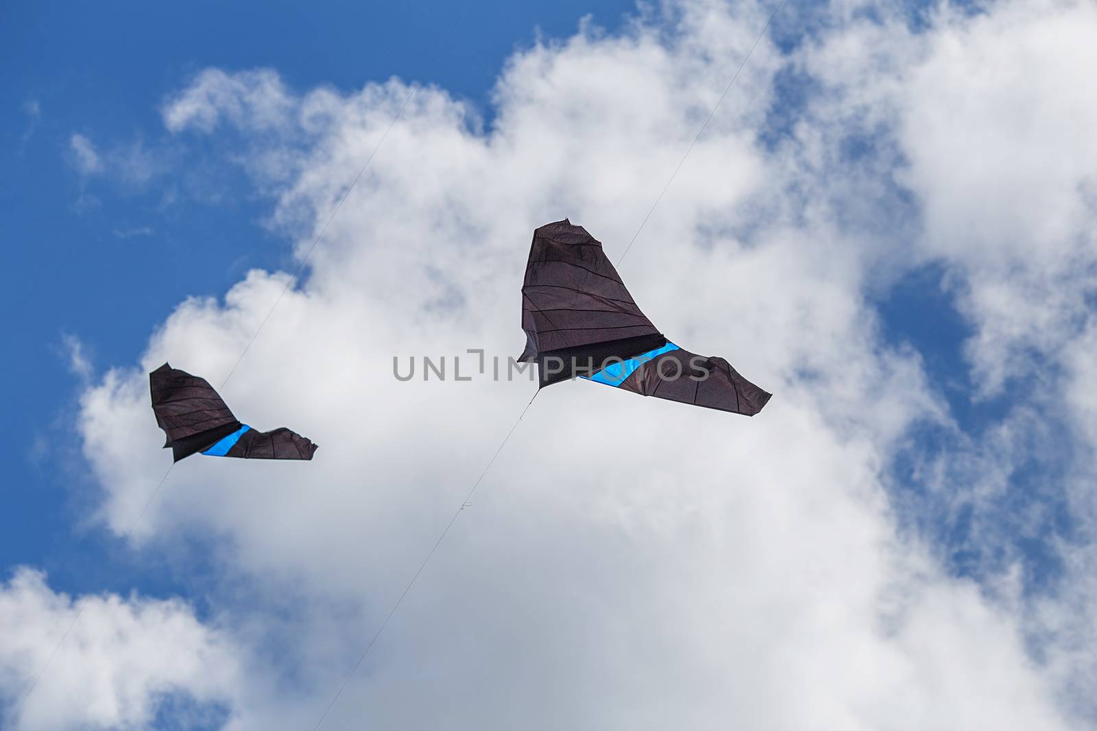 kites flying in a blue sky. Kites of various shapes. kiting