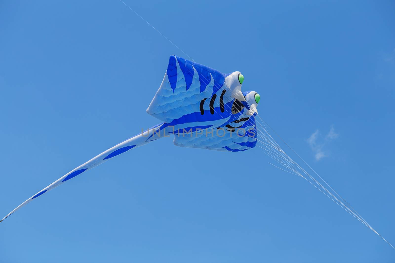kites flying in a blue sky. Kites of various shapes. by natazhekova