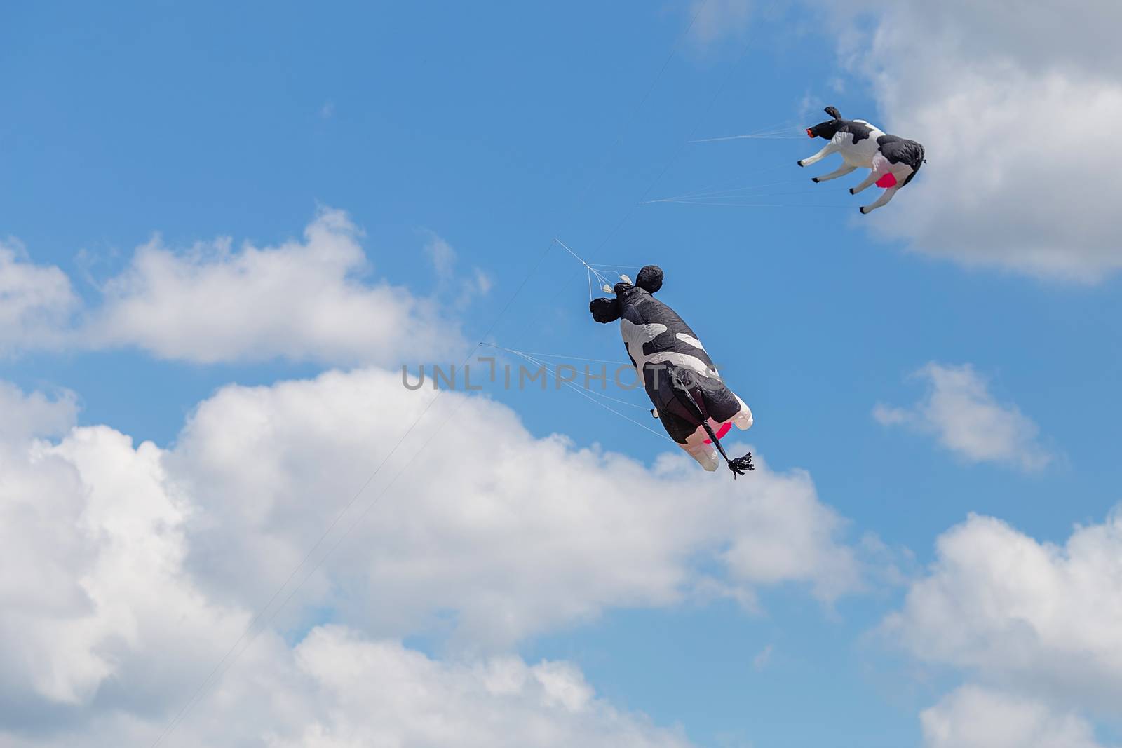 kites flying in a blue sky. Kites of various shapes. kiting, Flying cow