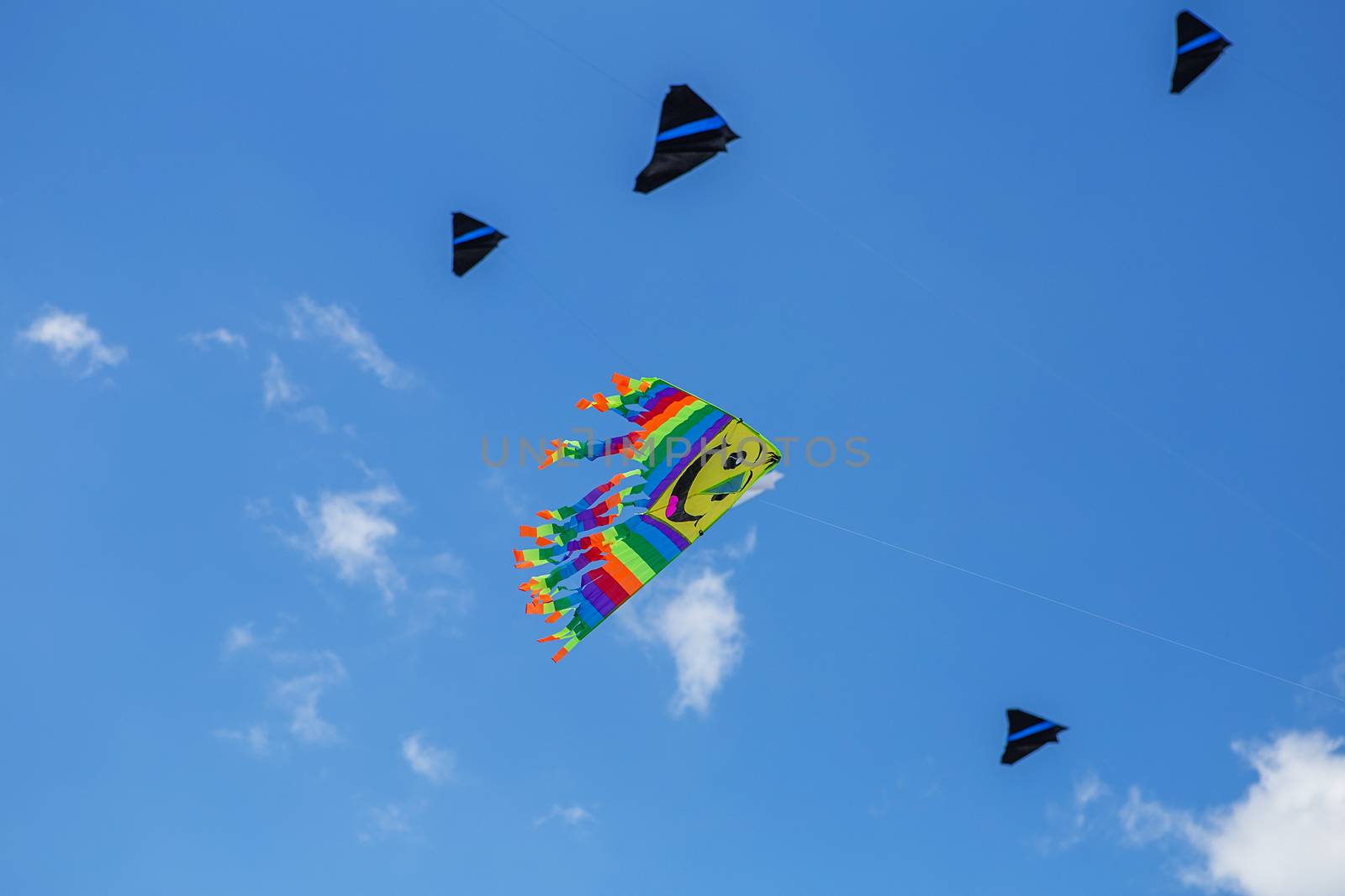 kites flying in a blue sky. Kites of various shapes. kiting