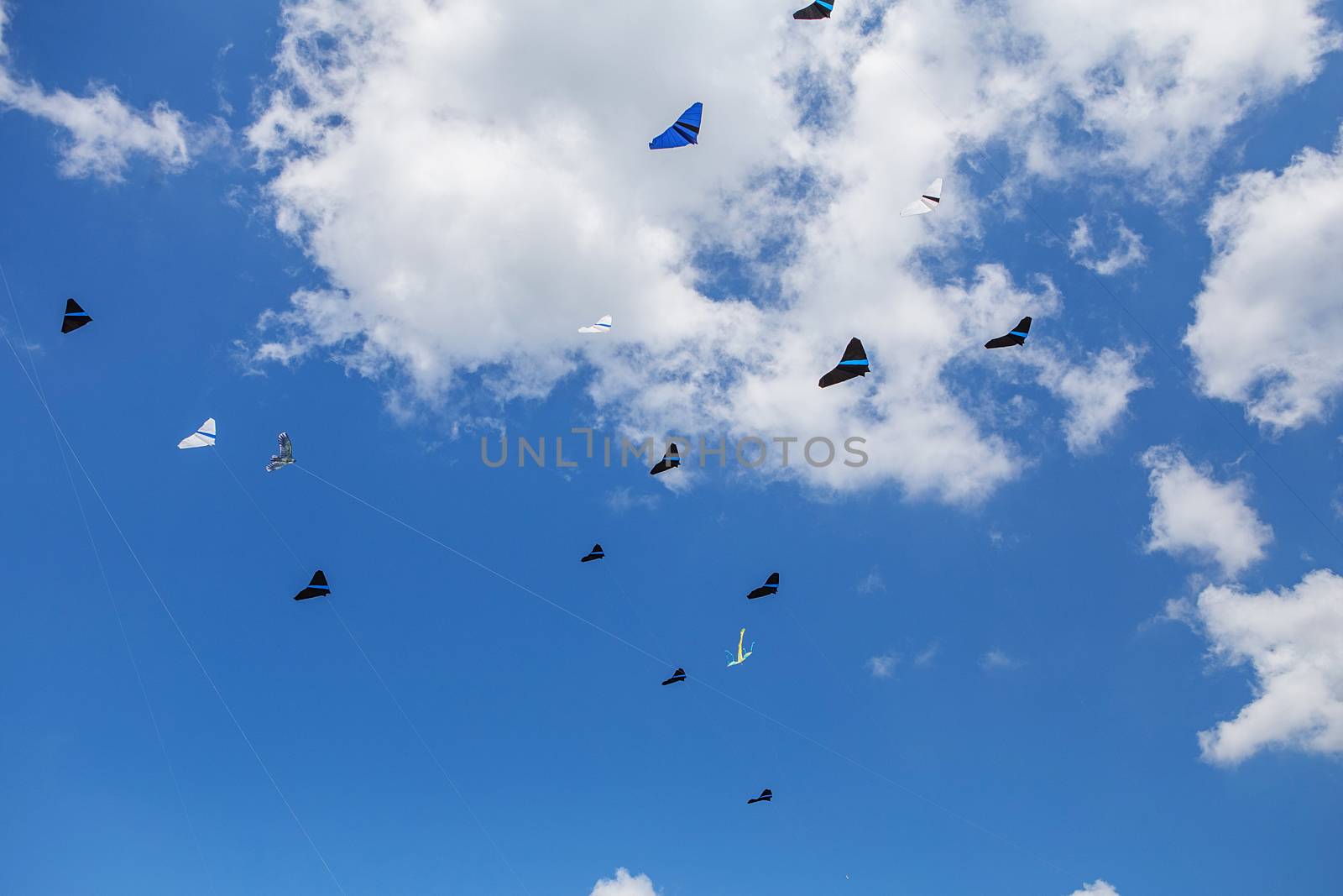 kites flying in a blue sky. Kites of various shapes. kiting