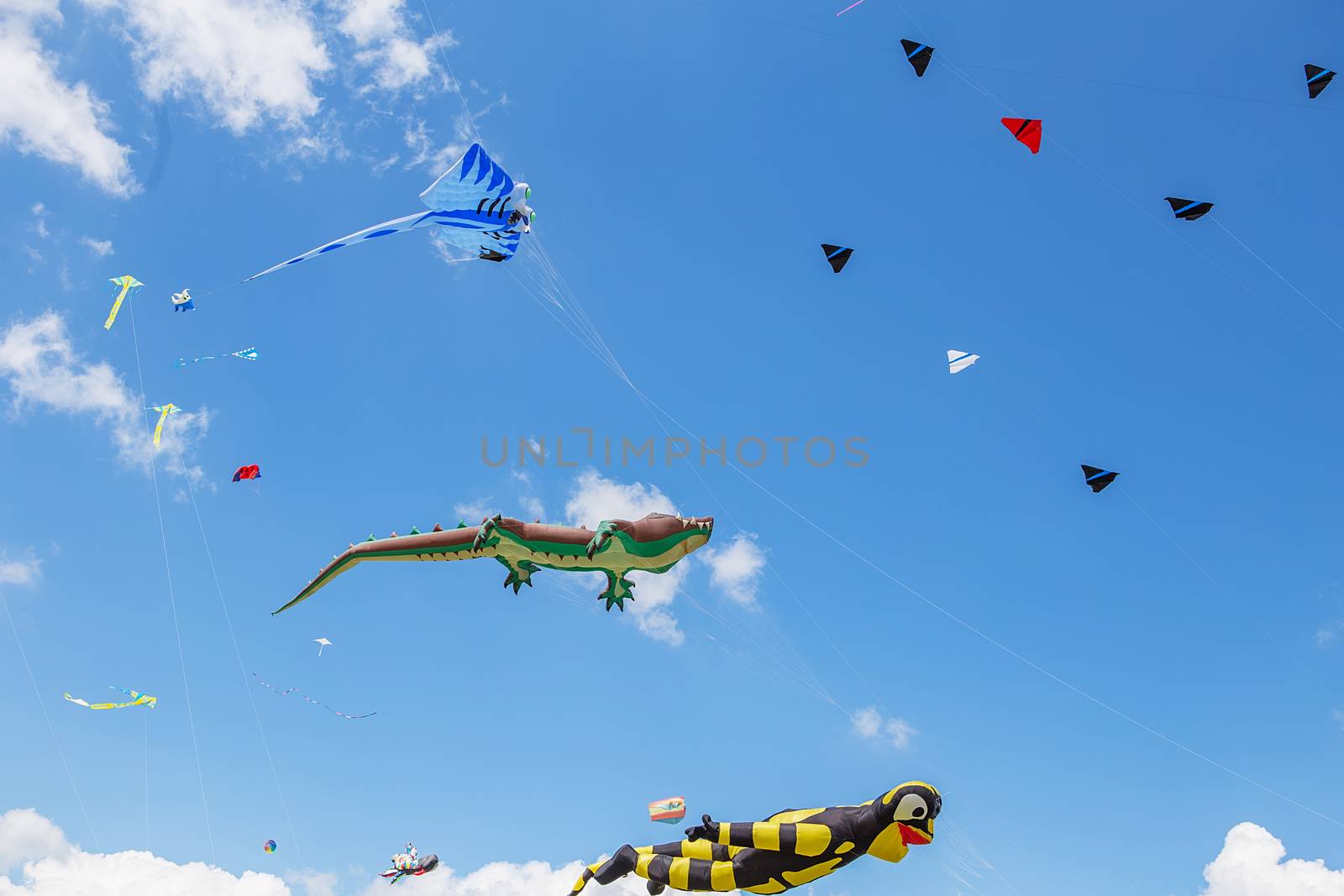 kites flying in a blue sky. Kites of various shapes. kiting