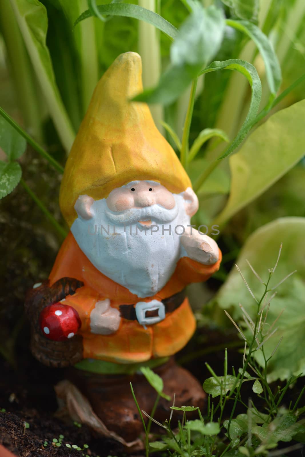 Gnome holding a basket with mushroom in a garden