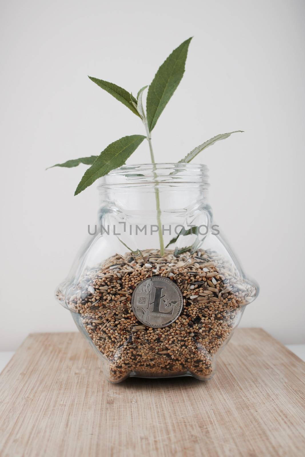 Digital currency physical silver Litecoin coin in glass jar with green plant.