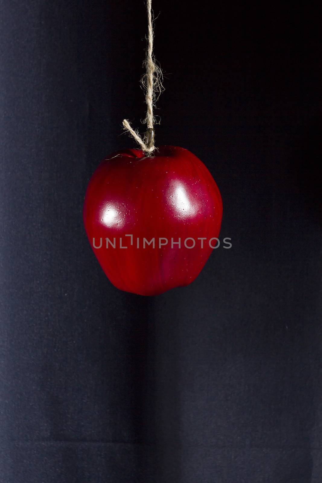 Red ripe apple on a rope on a dark background