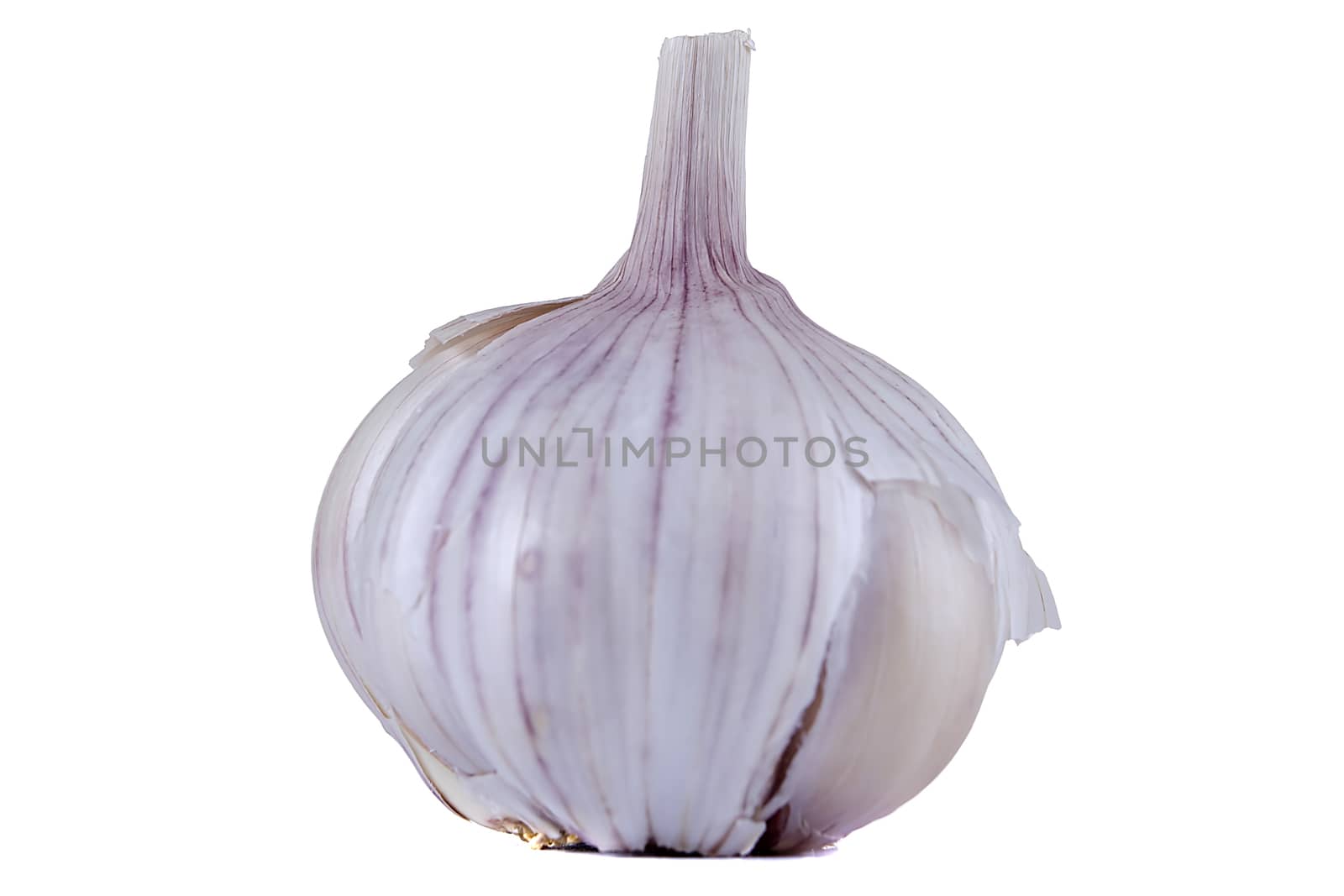 Ripe fresh garlic on white isolated background