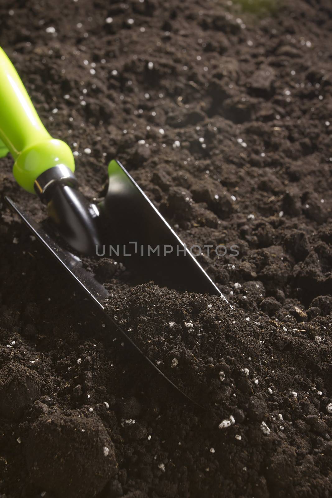 Garden tools in the ground by VIPDesignUSA