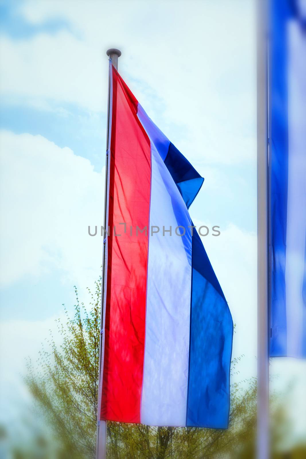 National flag of the Netherlands, Holland in high format with motion blur in the background.