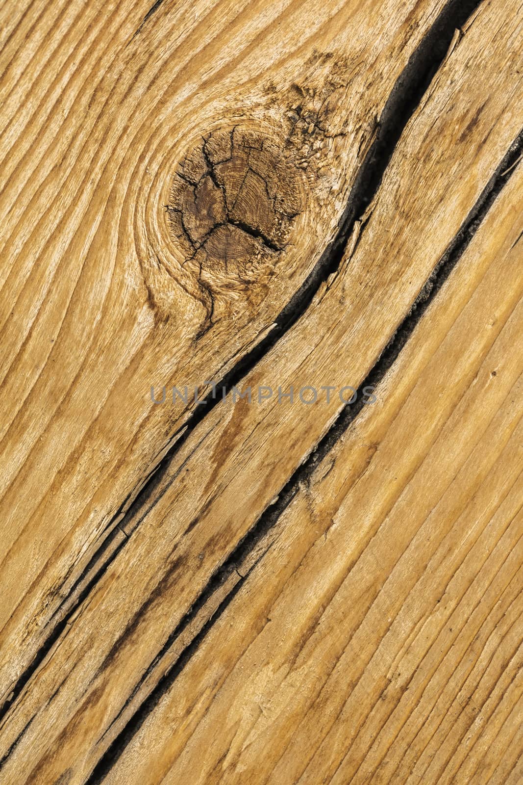 texture of old wooden close-up by MegaArt