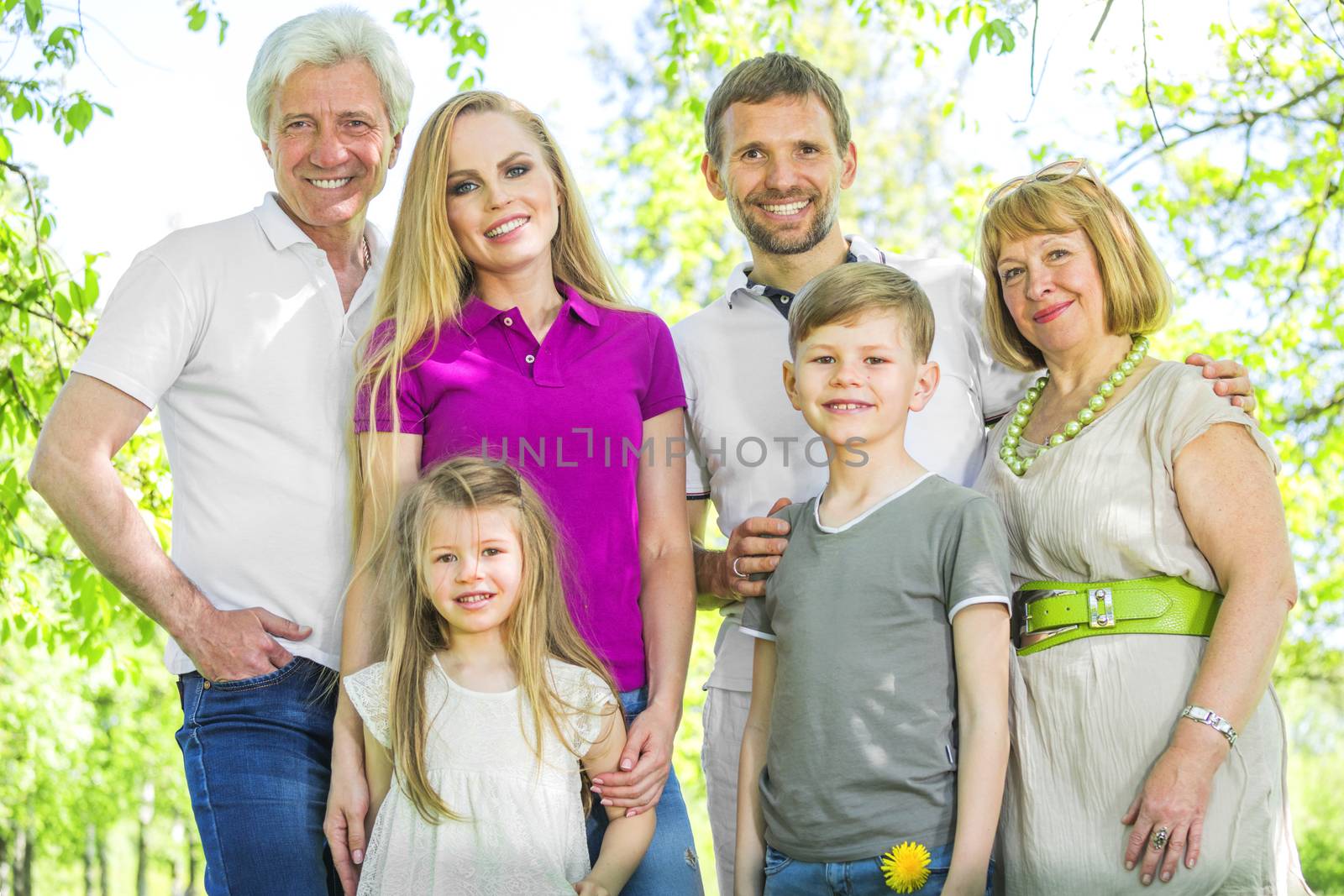 Portrait of cheerful extended family standing at the park