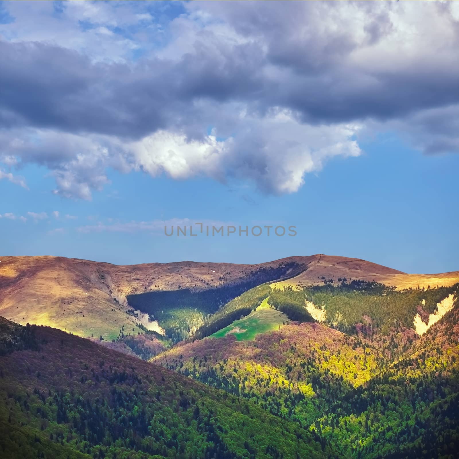 View of Carpatian Mountains in Prahova County, Romania
