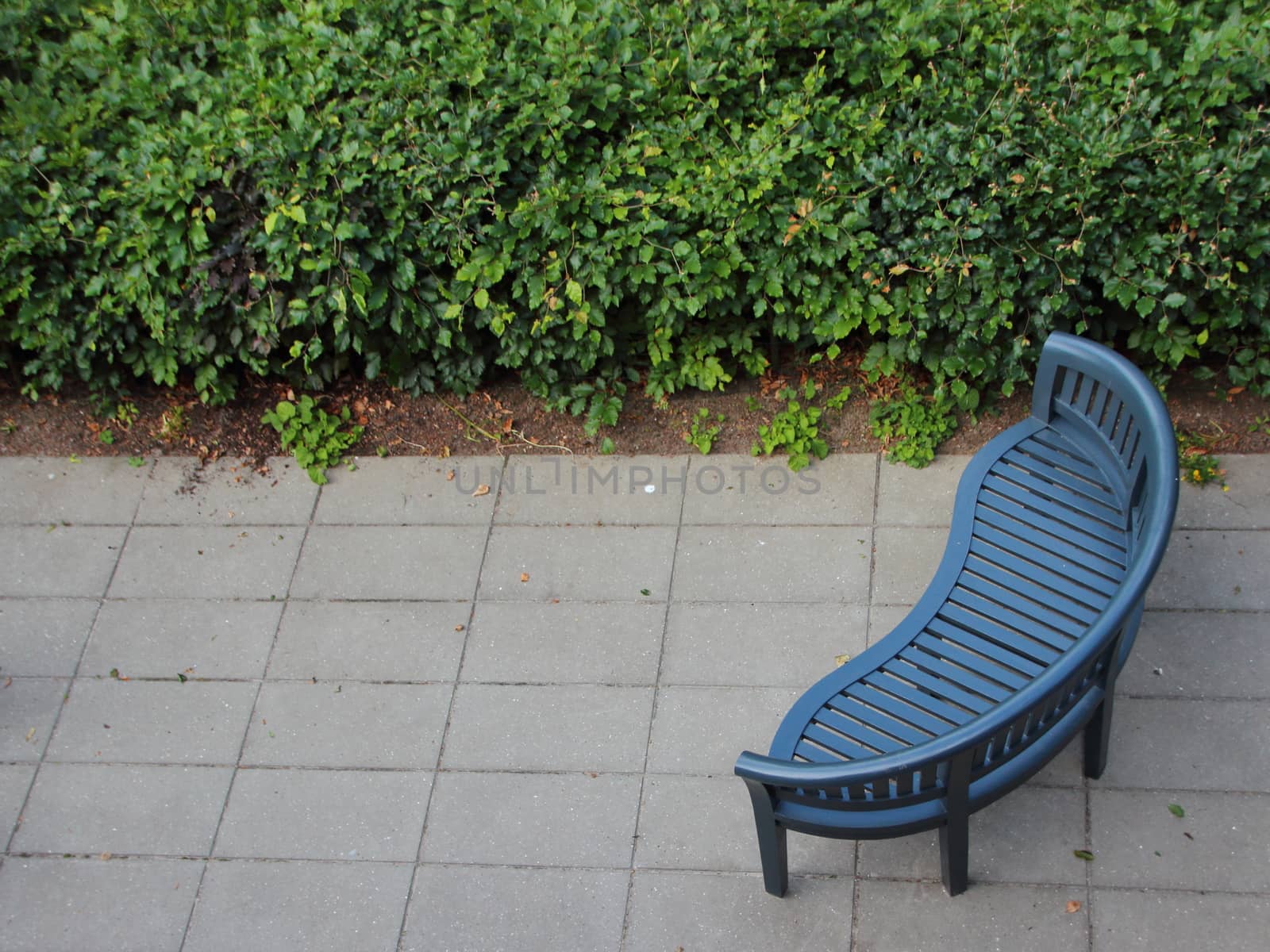 Empty Dark Green Wooden Bench at Hedge in Aerial View