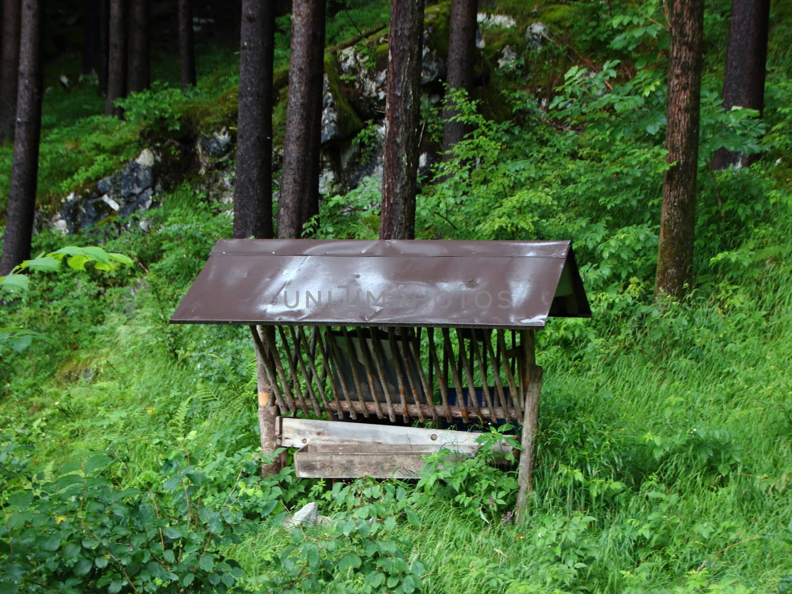 Empty Wildlife Forage Fodder Station in Mountain Forest