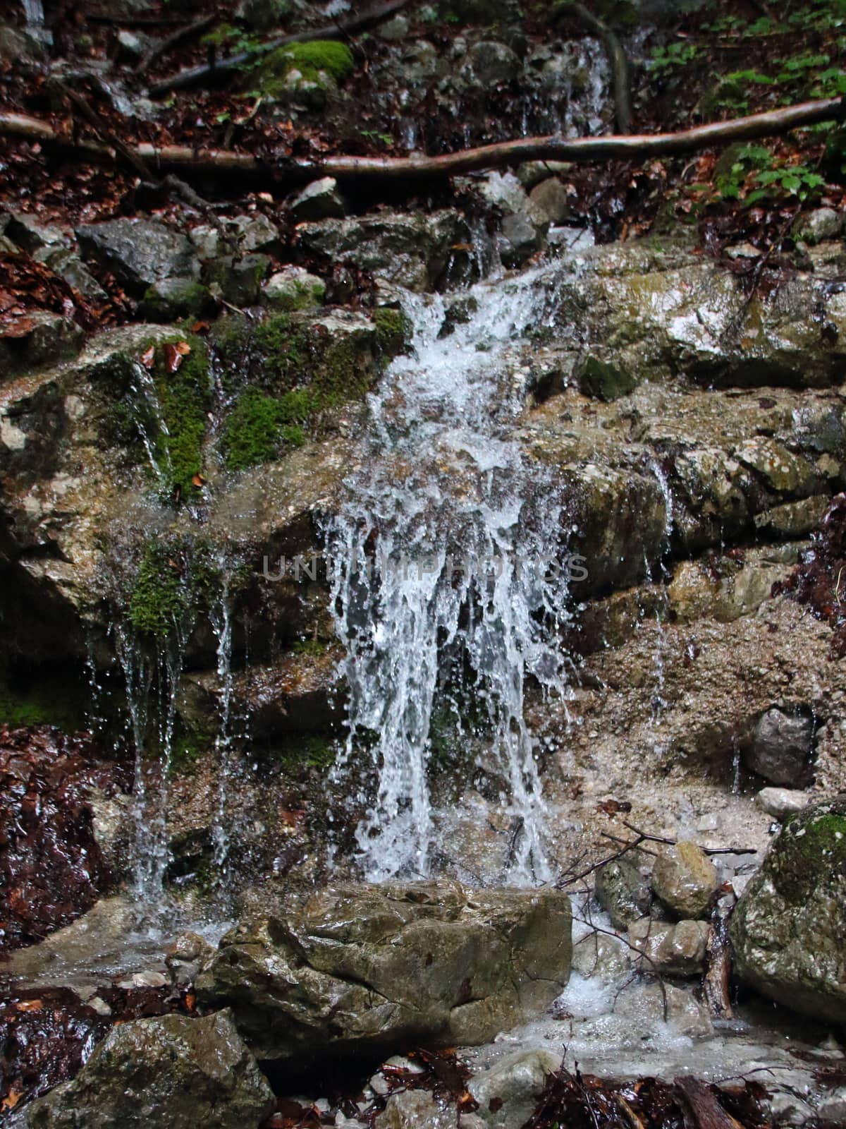 Small Brook in Mountain Forest with Clear Water from Melting Snow