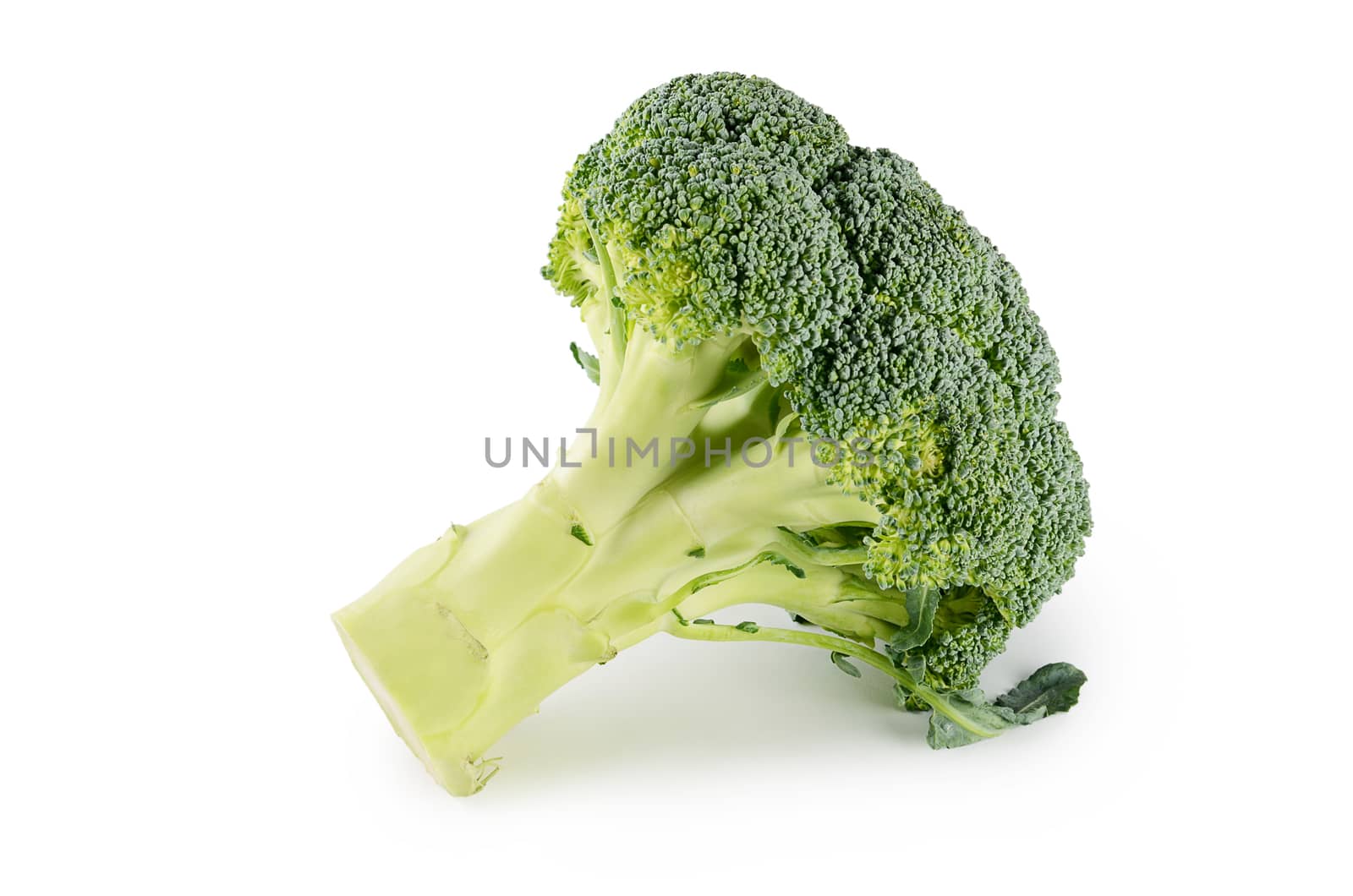 Fresh broccoli isolated on a white background