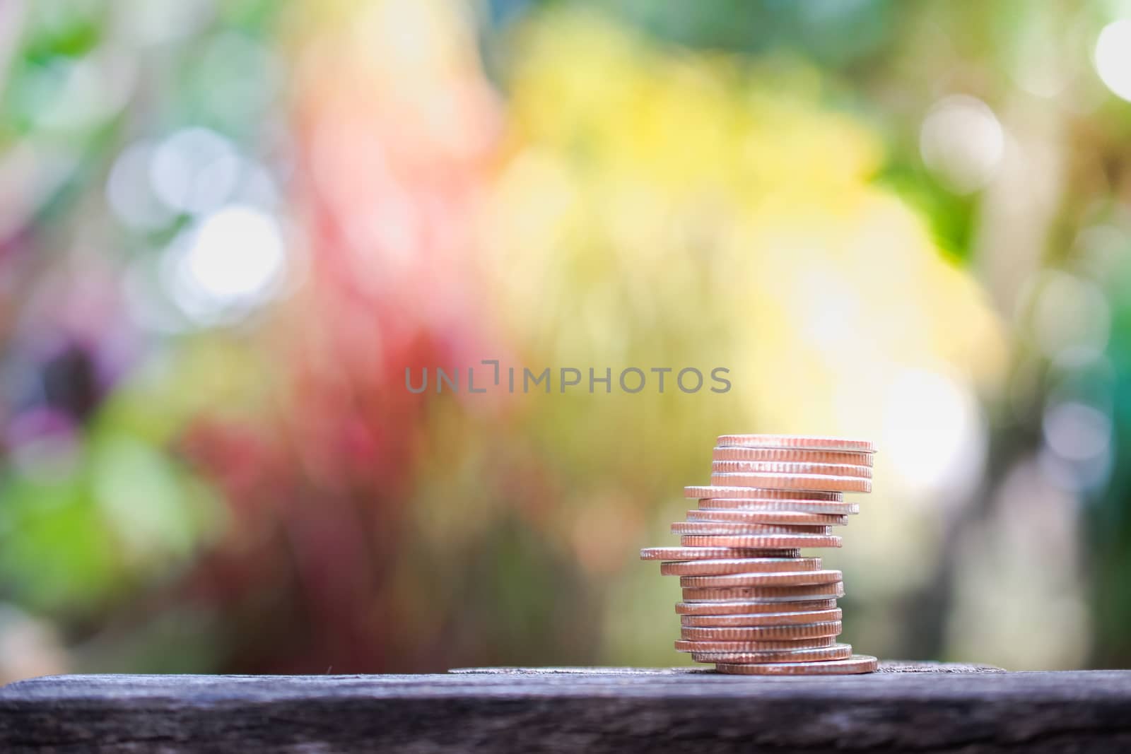 coins stacks grow on nature background