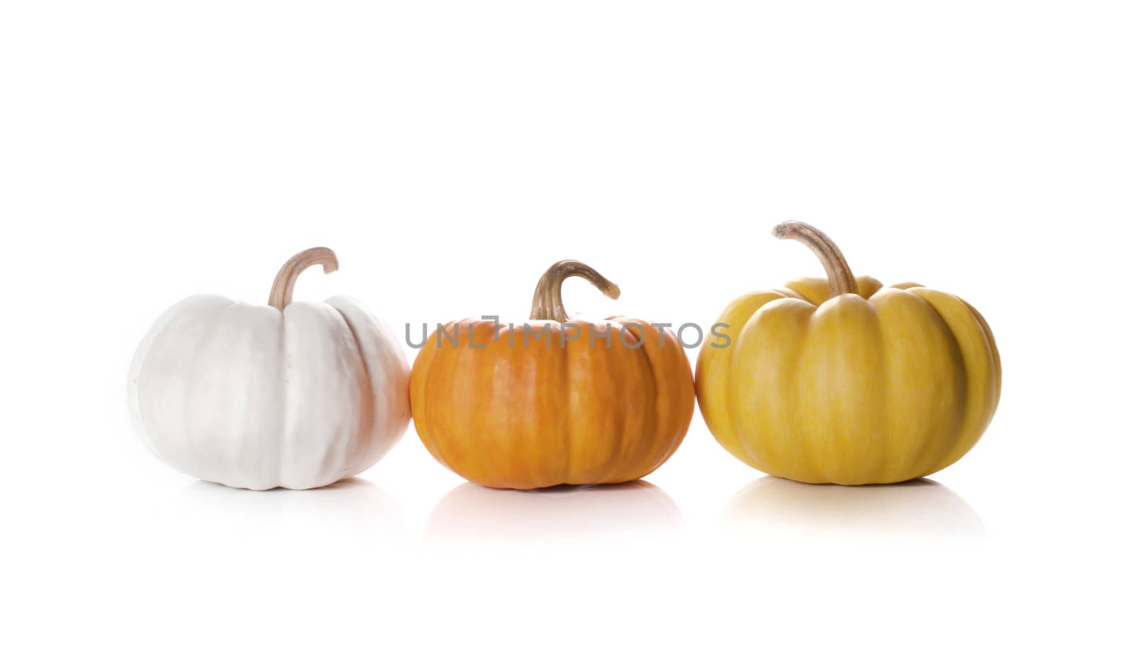 pumpkins close up isolated on white.
 by gukgui