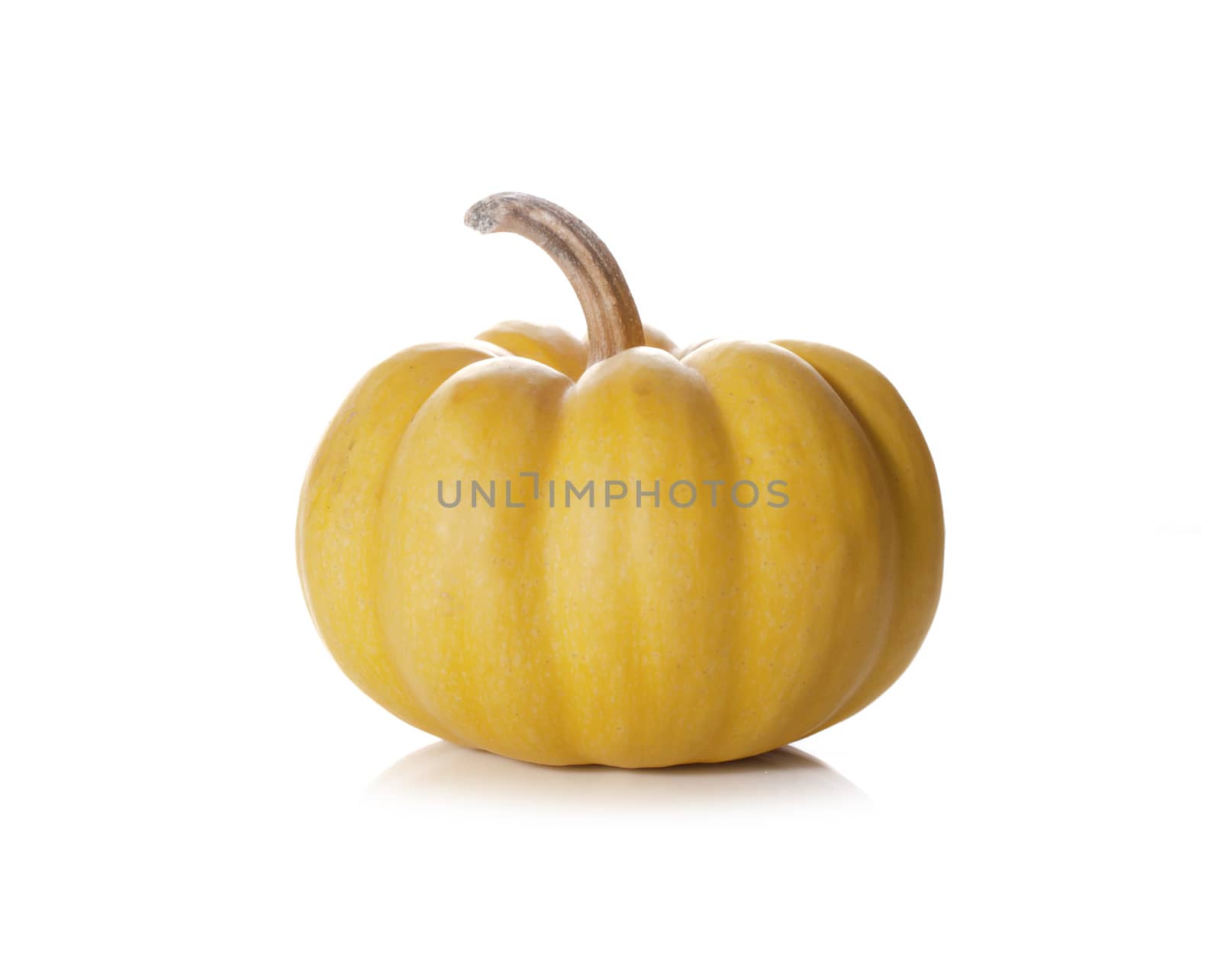 pumpkins close up isolated on white.
 by gukgui