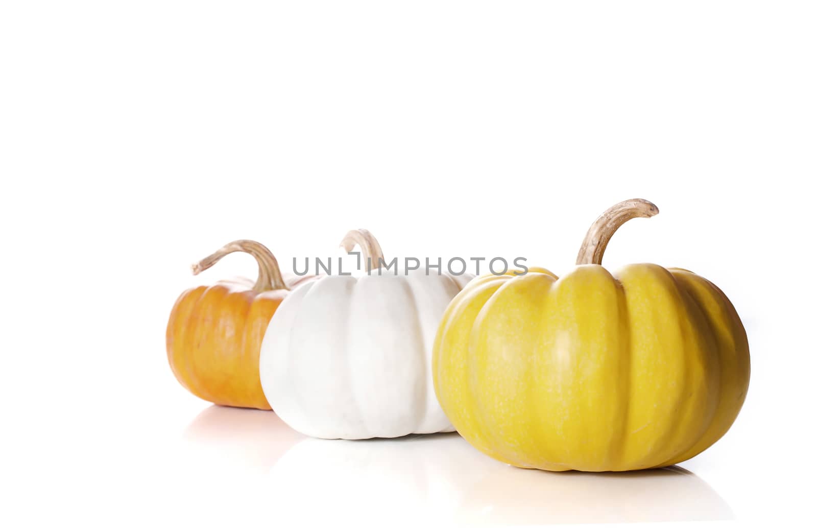 pumpkins close up isolated on white.
 by gukgui