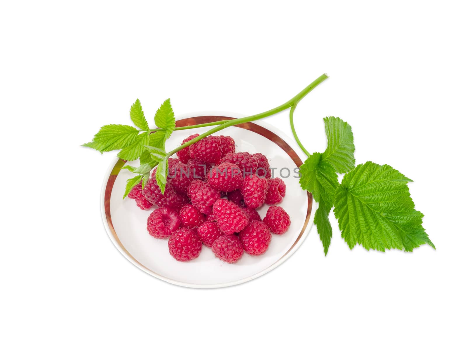 Berries of the fresh cultivated red raspberries on the saucer and raspberry twig on a light background 
