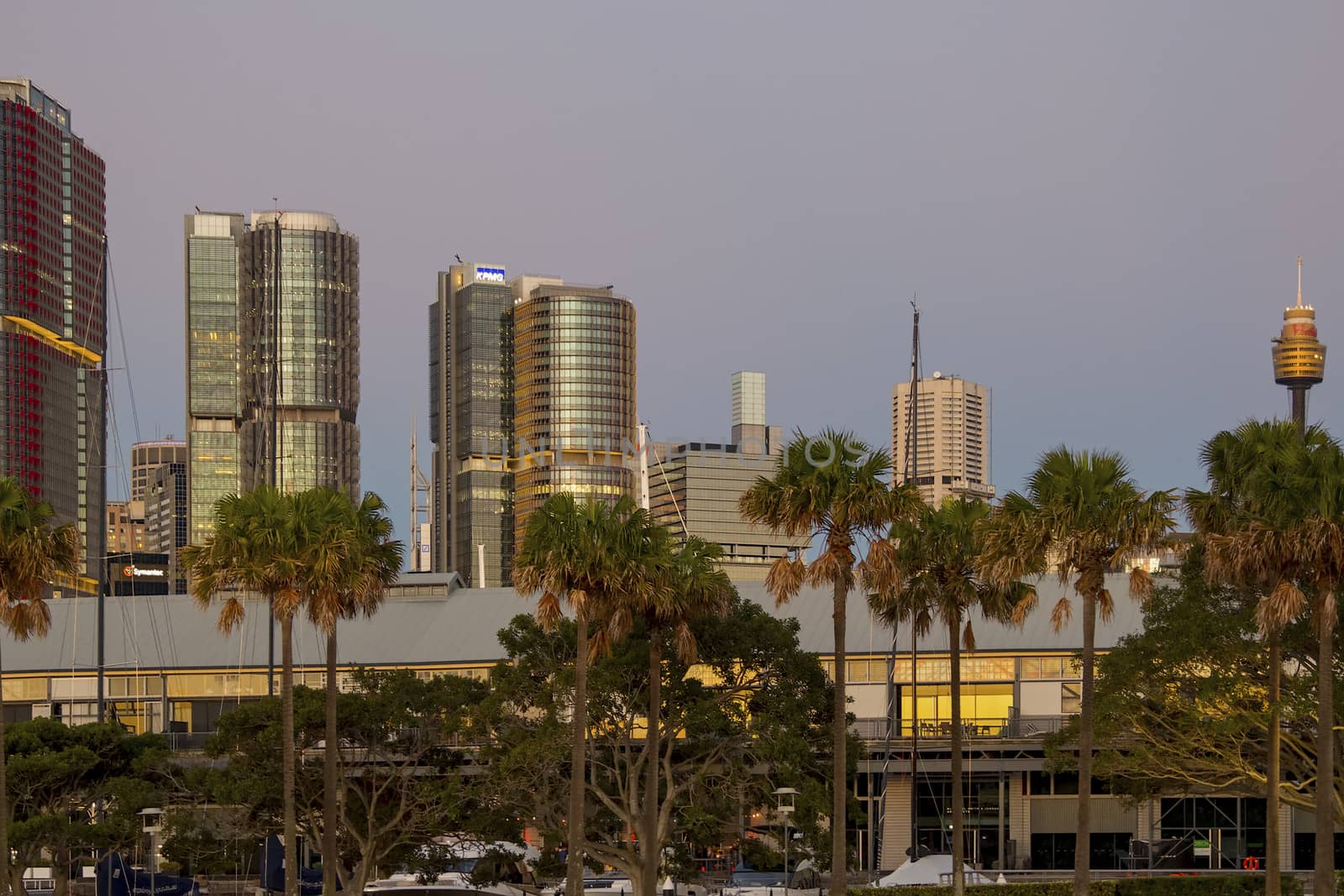 Sydney CBD skyscrapers and Sydney Tower seen from Pyrmont by jaaske