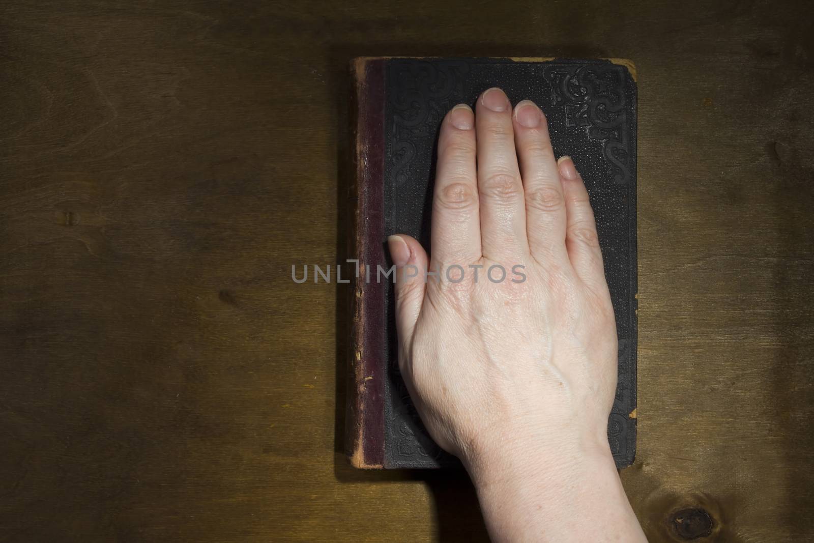 Female hand on the Bible by VIPDesignUSA
